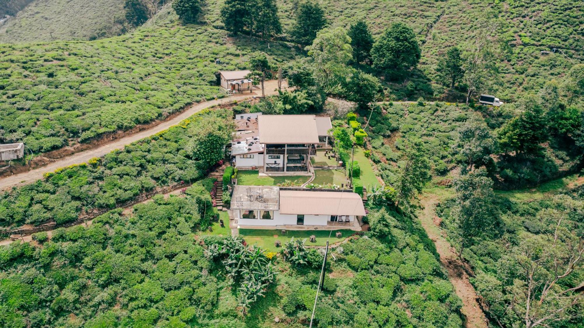 Hill Safari - Tea Estate Villa Ohiya Buitenkant foto